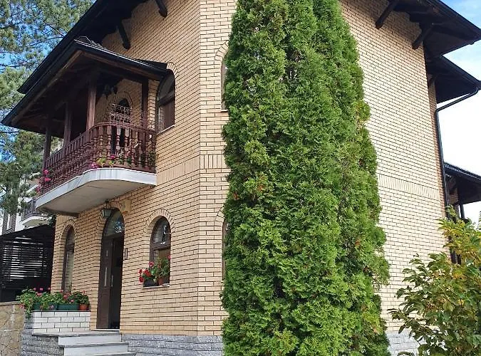 D&d 別荘 ズラティボール