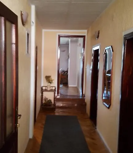 D&d 別荘 ズラティボール